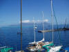 Moorea from masthead