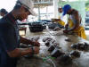 pearl farm operations