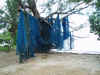 nets_drying.jpg (269931 bytes)