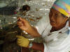 extracting a pearl