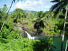 waterfall.jpg (323095 bytes)