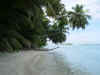 lagoon_beach.jpg (370888 bytes)