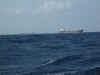 shipping.jpg (202884 bytes)