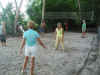 volley_ball.jpg (482238 bytes)