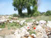 ruins.jpg (509675 bytes)
