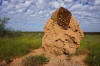 termite mound