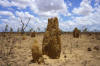 Termite mounds and bush fire