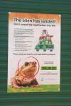 Toad warning