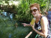 Freshwater crocodile