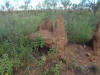 toppled mound