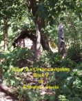 Book 5