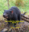 The Great OZ Walkabout Book 11