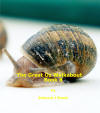 Great OZ Walkabout Book 8
